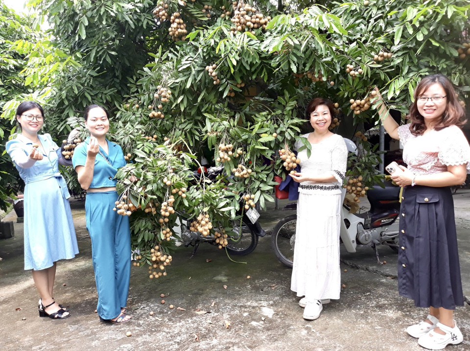 Đi tìm giải pháp thu hút khách du lịch cho Hưng Yên